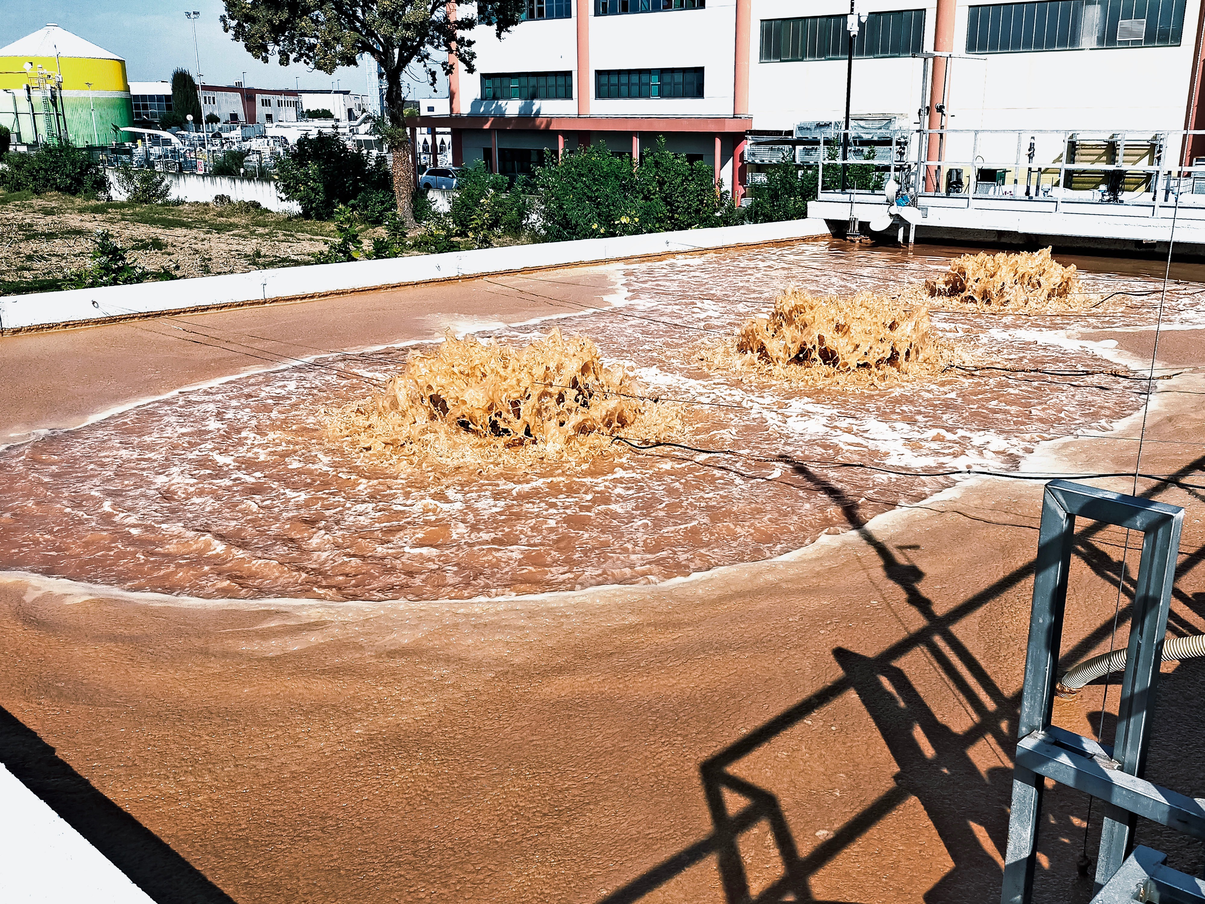 CASO STUDIO | CASALINI – Orzinuovi (BS)